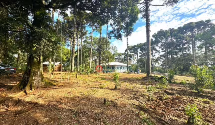 Chácara  à venda, 02 alqueires por R$ 700.000 - Palmeirinha - Guarapuava/PR