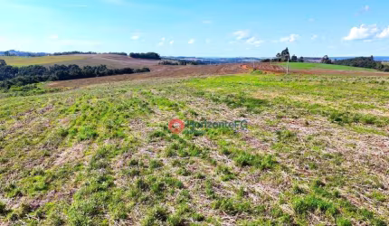 Chácara com 1 dormitório à venda, 435600 m² por R$ 4.230.000,00 - Zona Rural - Cantagalo/PR