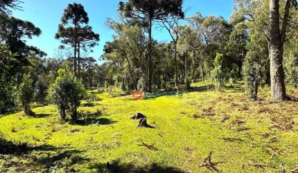Chácara à venda, 29,03 alqueires por R$ 2.200.000 - Guará - Guarapuava/PR