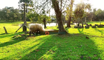 Chácara à venda, 05 alqueires por R$ 1.800.000 - Zona Rural - Guarapuava/PR