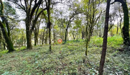 Chácara à venda, 20.000 m² por R$ 290.000 - Jordão - Guarapuava/PR