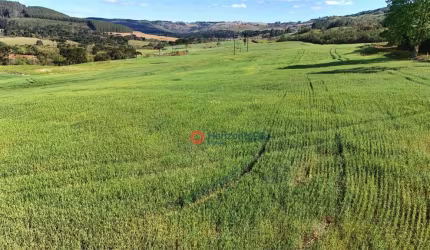Chácara à venda, 10.6 alqueires por R$ 2.300.000 - Zona Rural - Guarapuava/PR