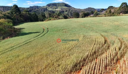 Chácara à venda, 3 hectares por R$ 380.000 - Jordão - Guarapuava/PR