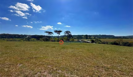 Chácara à venda, 05 Alqueires por R$ 1.350.000
