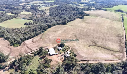 Fazenda à venda, 36 alqueires por R$ 6.500.000,00- Pinhao - Pinhão/PR