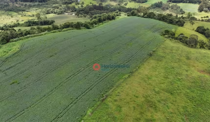 Chácara à venda, 07 alqueires por R$ 1.200.000 - Guairacá - Guarapuava/PR
