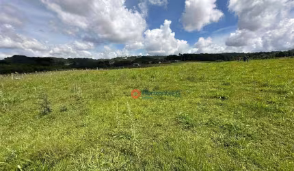 Chácara à venda, 1,5 alqueires por R$ 850.000 - Zona Rural - Guarapuava/PR