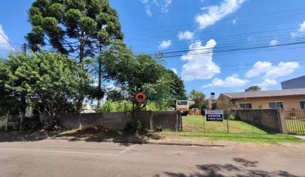 Terreno à venda, 774 m² por R$ 580.000,00 - Dos Estados - Guarapuava/PR