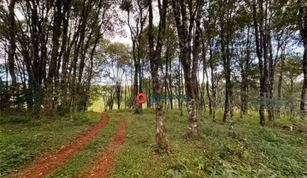 Fazenda à venda, 54 alqueires por R$ 4.590.000