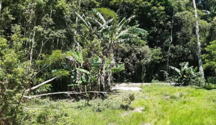 Terreno à venda, Comary - Teresópolis/RJ