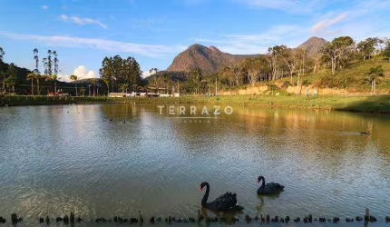Terreno à venda, Fazenda Alpina - Teresópolis/RJ