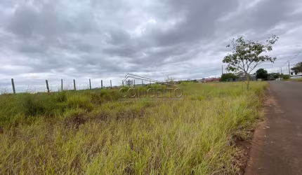 Terreno no bairro Água Branca com 1024 m² de área total, divididos em 3 lotes.