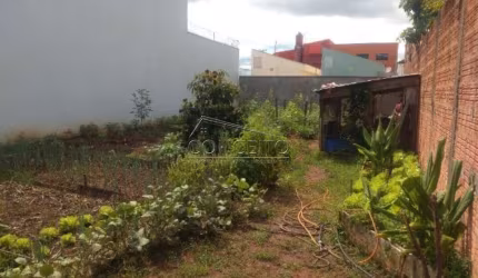 Terreno à venda no bairro Jardim Novo I em Rio Claro com 250 m² de área total.