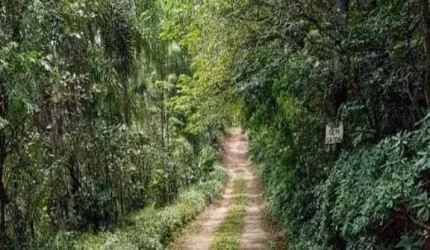 Terreno à venda, 8300 m² por R$ 475.000,00 - Guacuri - Itupeva/SP