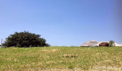 Terreno à venda, 1000 m² por R$ 1.280.000,00 - Centro - Itatiba/SP