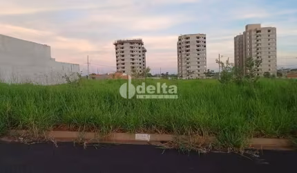 Terreno disponível para venda 250 m² no bairro Loteamento Luizote de Freitas IV em Uberlândia-MG