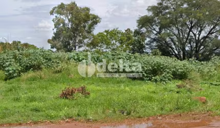 Terreno disponível para venda no bairro Nossa Senhora das Graças em Uberlândia-MG