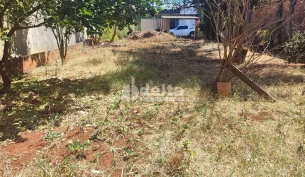 Terreno disponível para venda no bairro Custódio Pereira em Uberlândia-MG