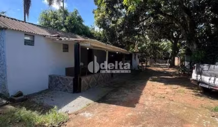 Chácara disponível para venda na Zona Rural de Uberlândia em Uberlândia-MG