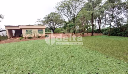 Chácara disponível para venda na Zona Rural de Uberlândia em Uberlândia-MG