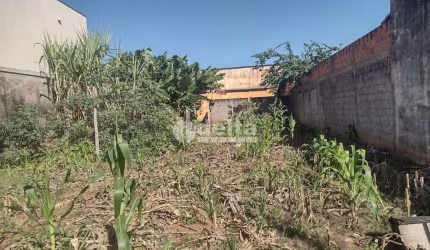 Terreno disponível para venda no bairro Tubalina em Uberlândia-MG