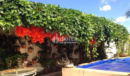 Casa residencial disponível para venda no bairro Jardim Colina em Uberlândia-MG