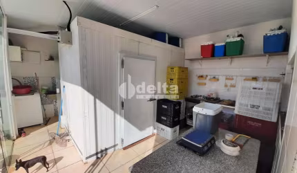 Casa Residencial Padrão em Uberlândia