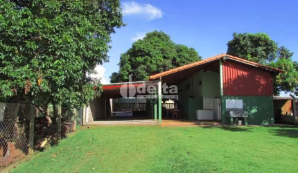 Chácara disponível para venda na Zona Rural de Uberlândia em Uberlândia-MG
