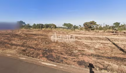 Terreno disponível para venda no bairro Alto Umuarama em Uberlândia-MG