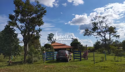 Chácara disponível para Locação na Zona Rural em Uberlândia-MG