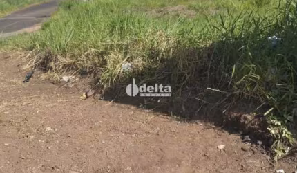 Terreno disponível para Venda no bairro Jardim America em Uberlândia-MG