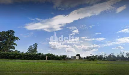 Área disponível para locação e venda 20000.00 m² na zona oeste de Uberlândia-MG