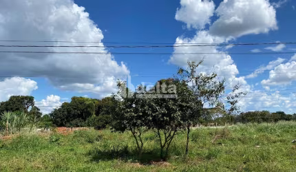 Área disponível para venda 1.000 m² no bairro Morada Nova em Uberlândia-MG