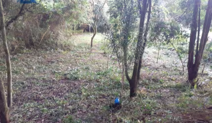 Terreno à venda, 1250 m² - Jardim Leonor - Itatiba/SP