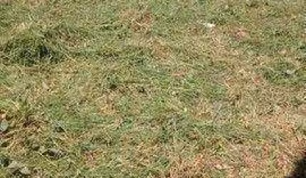 Terreno à venda, 250 m² por R$ 191.000,00 - Loteamento Itatiba Park - Itatiba/SP