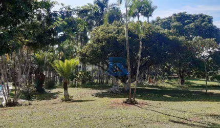 Chácara com 3 dormitórios à venda, 20000 m² por R$ 1.300.000,00 - Ponte Nova - Itatiba/SP