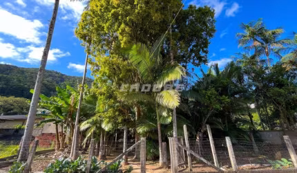 Lote/Terreno à venda, Progresso - Blumenau/SC