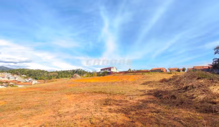 ÓTIMA OPORTUNIDADE EM INDAIAL - Terreno com 6 mil m² I Cadore Imóveis
