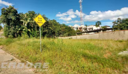 Terreno comercial/residencial Velha