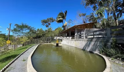 Chácara com 40Mil m² de terra, ótima opção para investimento ou moradia