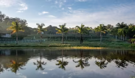 Casa em condomínio fechado com 5 quartos à venda no Loteamento Residencial Entre Verdes (Sousas), Campinas , 2043 m2 por R$ 15.999.000