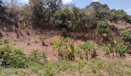 Lote para venda em Ribeirão das Neves, bairro Rosaneves