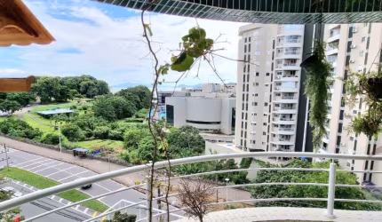 LINDO APARTAMENTO DE 3 DORMITÓRIOS NA AGRONÔMICA
