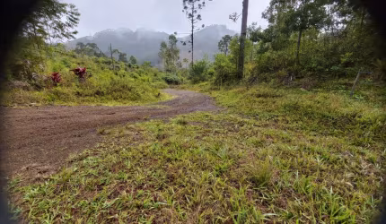 VENDO SÍTIO EM RODEIO !!!