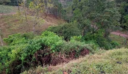 VENDO TERRENO !!!
