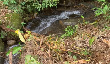 VENDO TERRENO PARA SITIO !!!