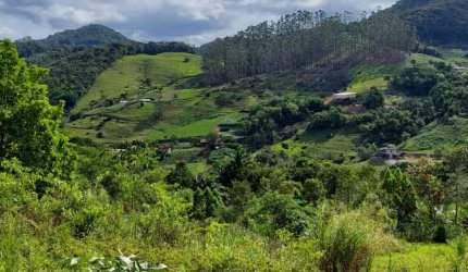 VENDO TERRENO