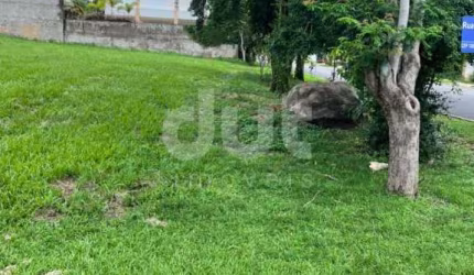 Terreno à venda na Rua Cambuí, 116, Loteamento Alphaville Campinas, Campinas por R$ 2.000.000