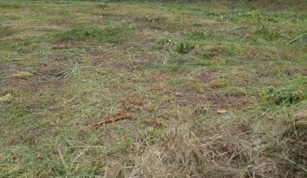 Terreno à venda na Rua Olga Benário Prestes, 91, Ribeirânia, Ribeirão Preto por R$ 450.000