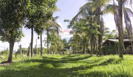 Paraíso Privado em Araçatuba: Chácara à Venda!